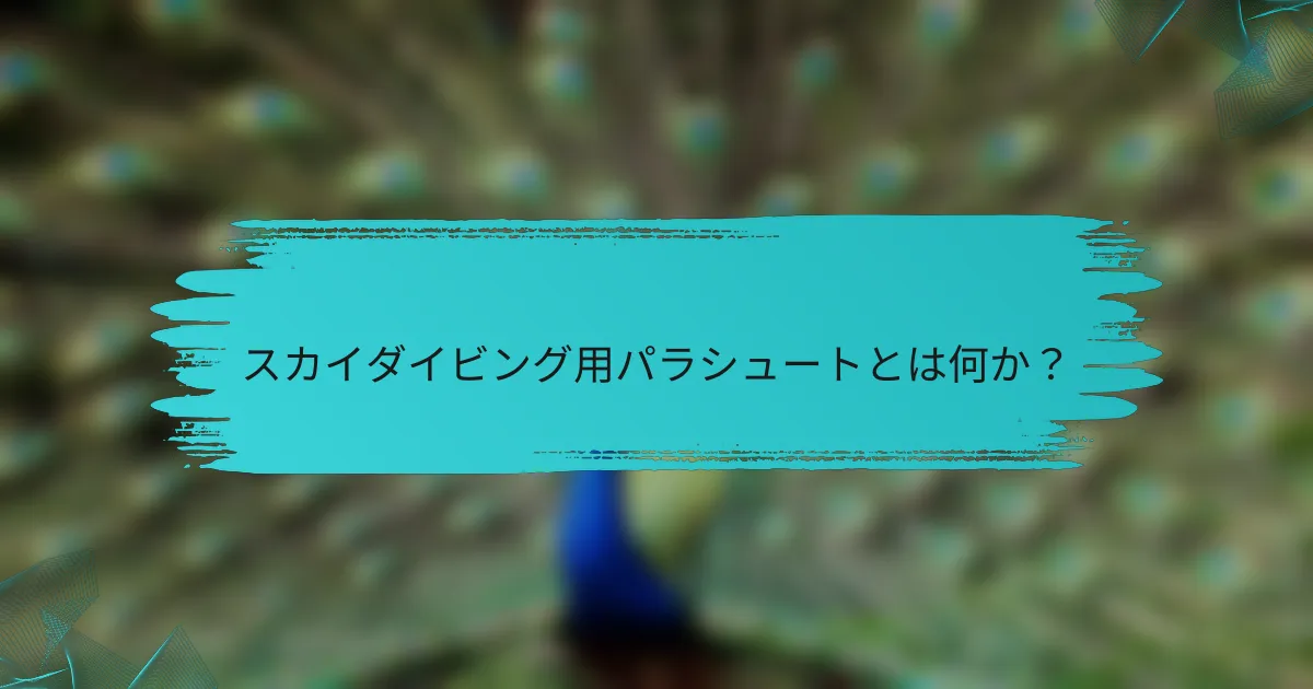 スカイダイビング用パラシュートとは何か？